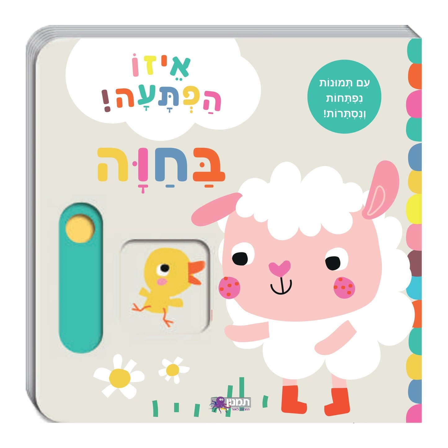 איזו הפתעה בחוה