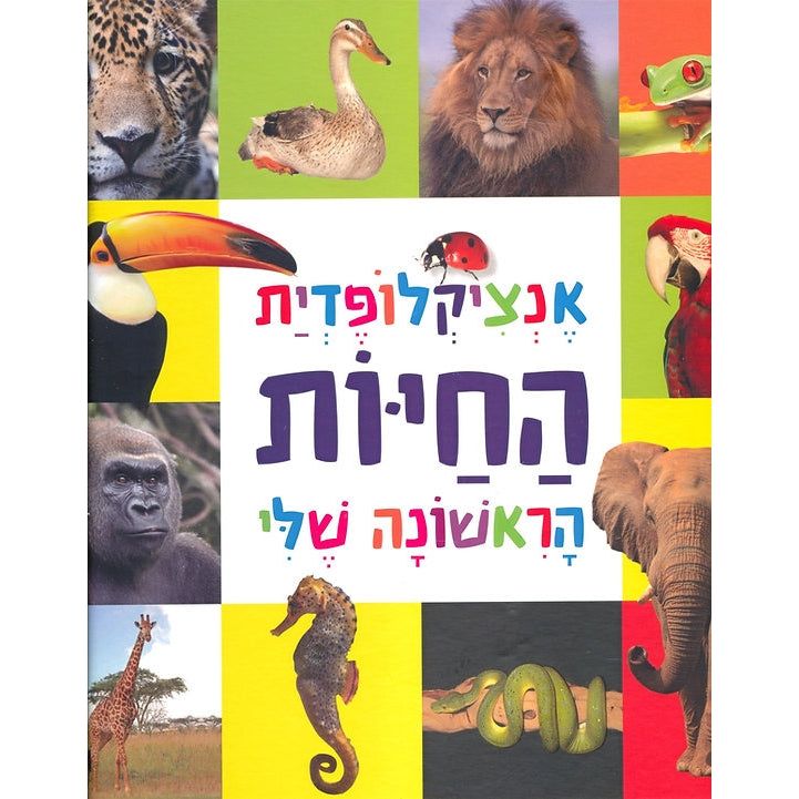 אנציקלופדיה חיות הראשונה שלי