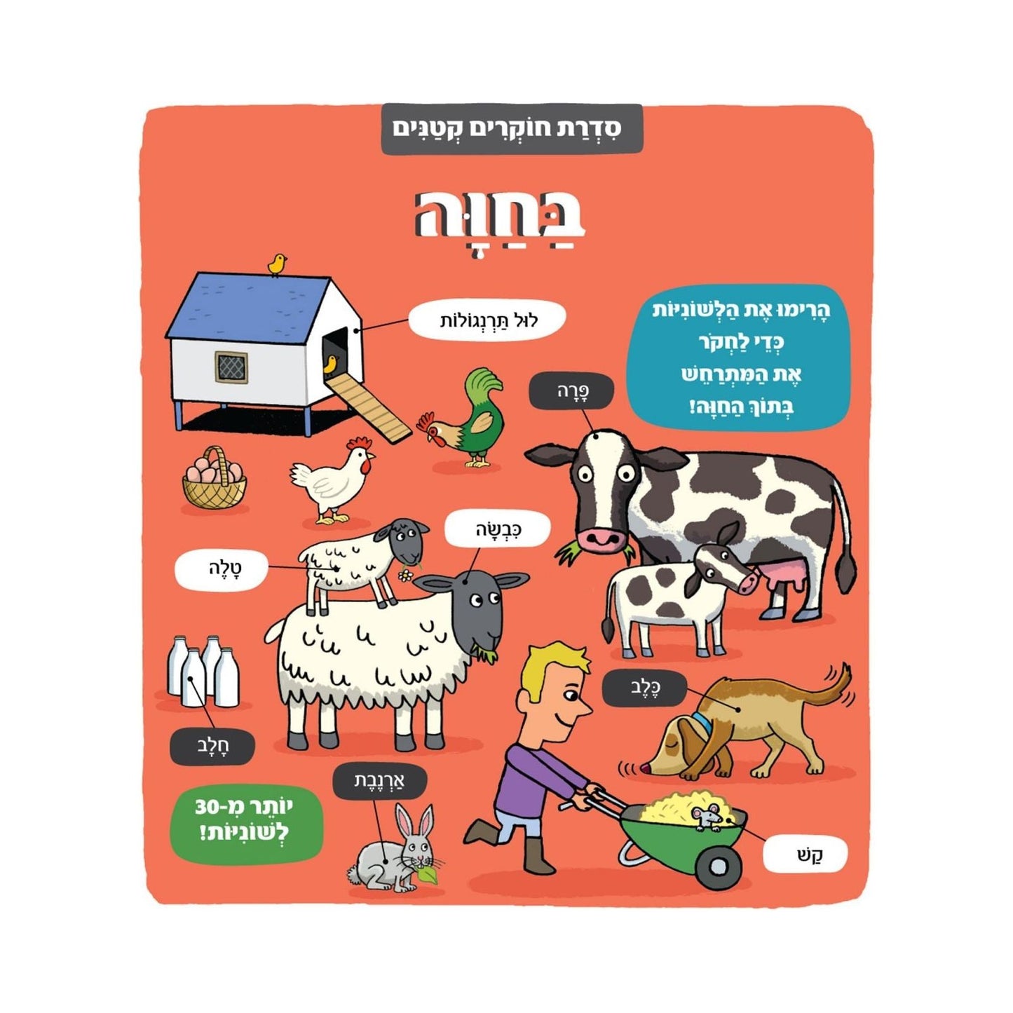 חוקרים קטנים - בחוה                     