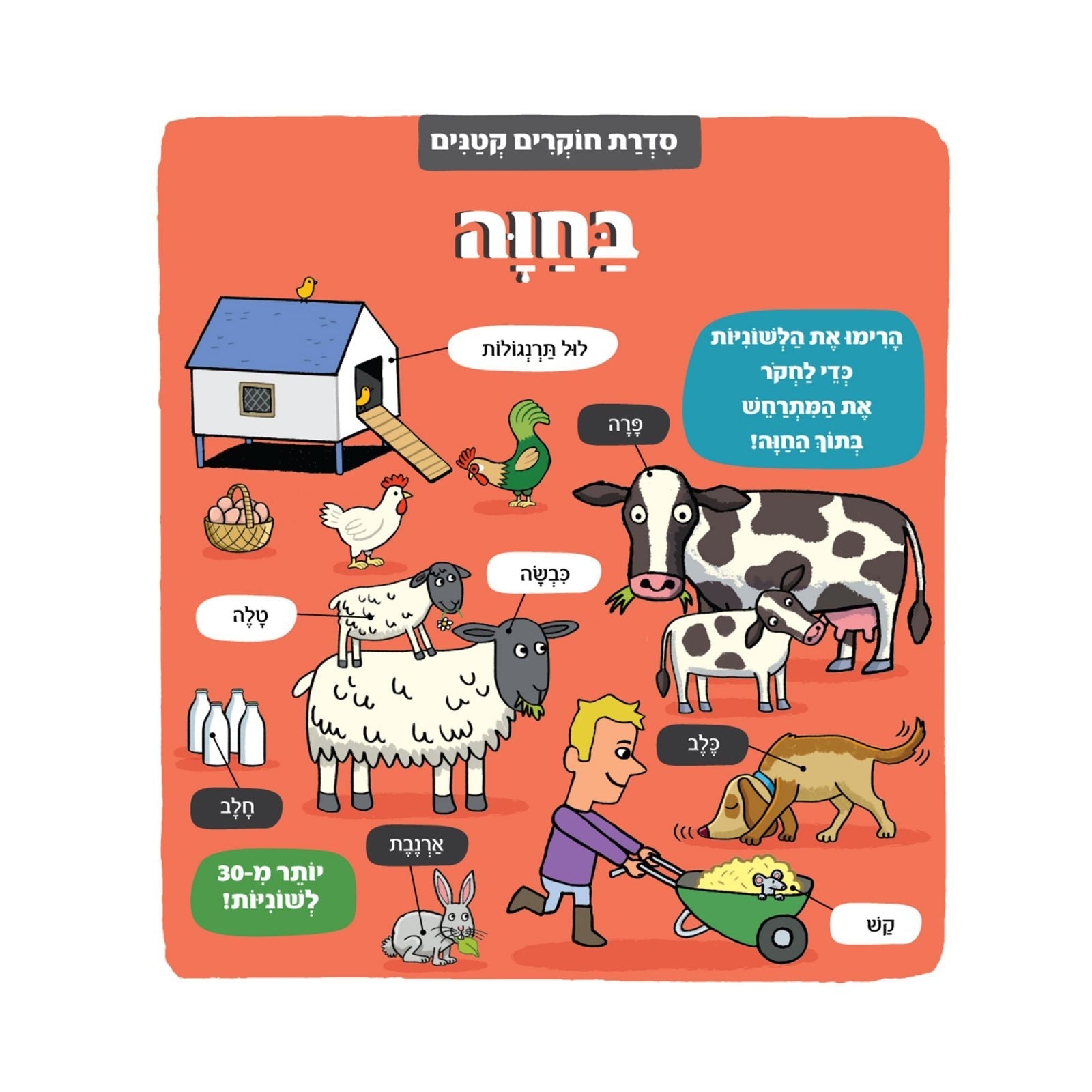 חוקרים קטנים - בחוה                     