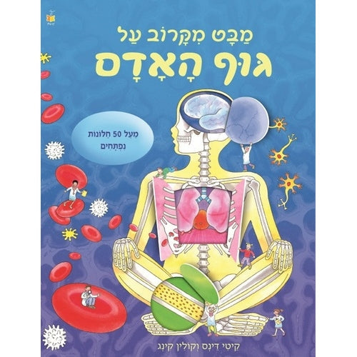 מבט מקרוב שאלות על גוף הא               